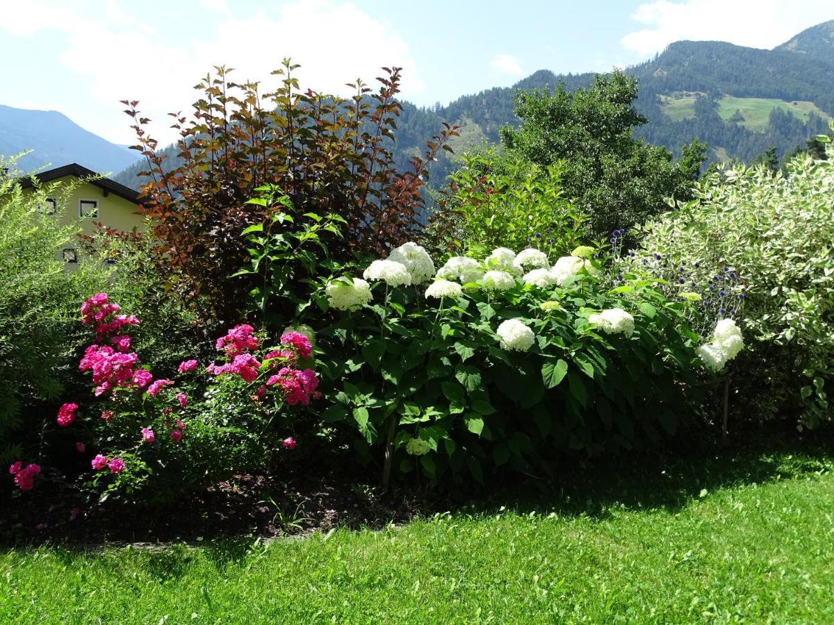 Appartement Sylvester Matrei in Osttirol Dış mekan fotoğraf