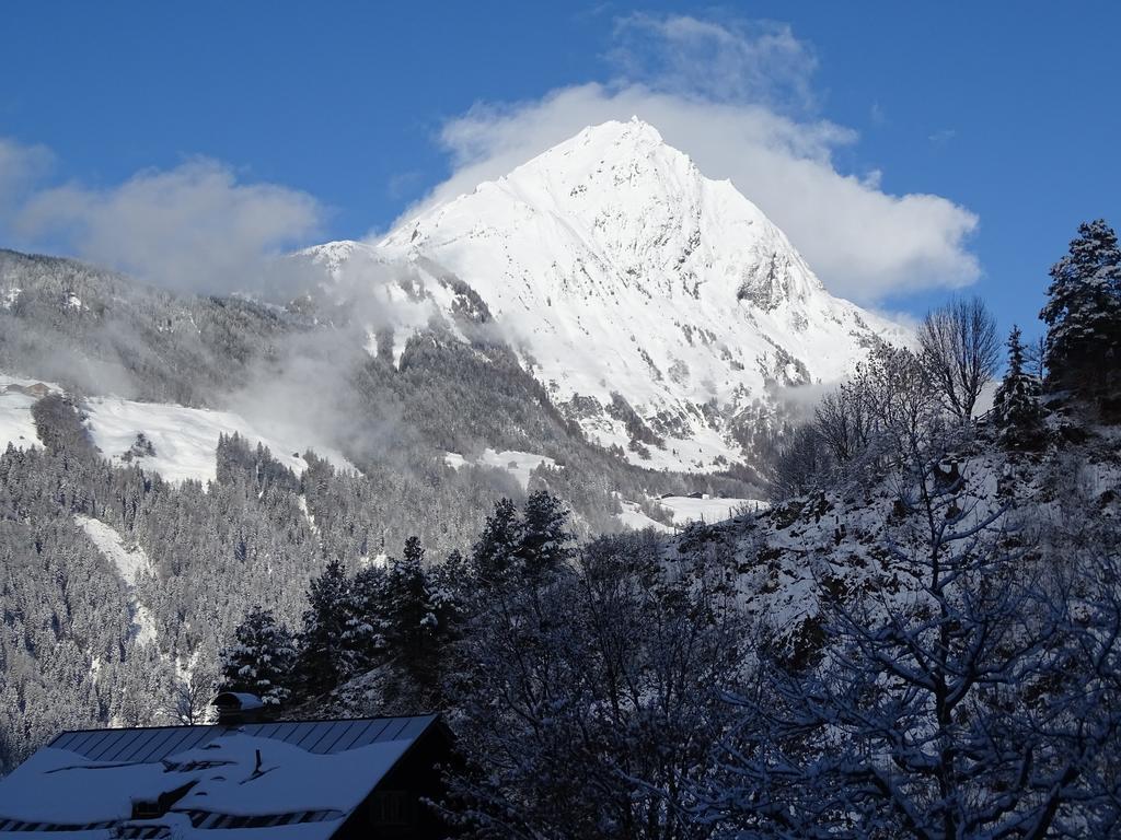 Appartement Sylvester Matrei in Osttirol Dış mekan fotoğraf